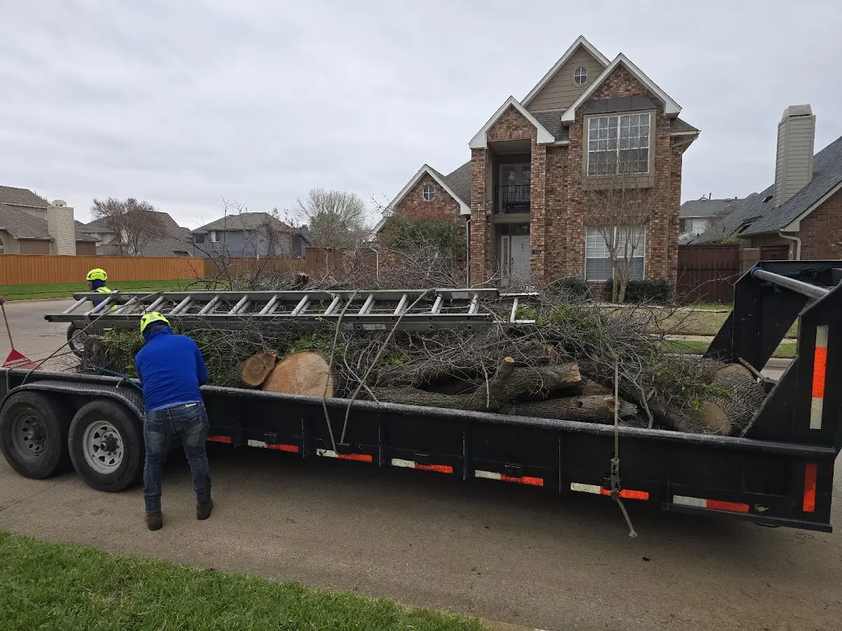 Expert Tree Removal with proper safety equipment in Moorhead